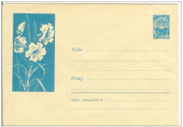 Russia USSR 1962 Fleurs Flowers Flower Blume Blumen Flora Plants Envelope - 1960-69