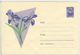 Russia USSR 1963 Fleurs Flowers Flower Blume Blumen Flora Plants Iris Envelope - 1960-69