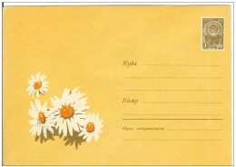 Russia USSR 1963 Fleurs Flowers Flower Blume Blumen Flora Plants Chamomile Envelope - 1960-69