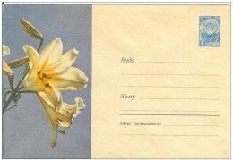 Russia USSR 1964 Fleurs Flowers Flower Blume Blumen Flora Plants Envelope - 1960-69