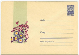 Russia USSR 1965 Fleurs Flowers Flower Blume Blumen Flora Plants Envelope - 1960-69