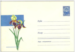 Russia USSR 1965 Fleurs Flowers Flower Blume Blumen Flora Plants Iris Envelope - 1960-69