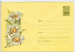 Russia USSR 1965 Fleurs Flowers Flower Blume Blumen Flora Plants Chamomile Envelope - 1960-69