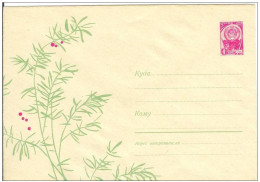 Russia USSR 1966 Fleurs Flowers Flower Blume Blumen Flora Plants Envelope - 1960-69