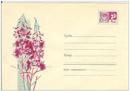 Russia USSR 1967 Fleurs Flowers Flower Blume Blumen Flora Plants Envelope - 1960-69