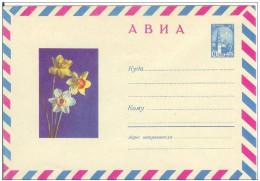 Russia USSR 1967 Fleurs Flowers Flower Blume Blumen Flora Plants Narcissi Envelope - 1960-69