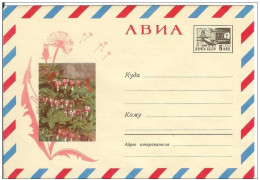 Russia USSR 1967 Fleurs Flowers Flower Blume Blumen Flora Plants Envelope - 1960-69