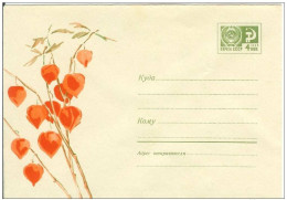 Russia USSR 1968 Fleurs Flowers Blumen Flora Plants Envelope - 1960-69