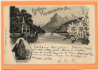 SUISSE - Gruss Vom VIERWALDSTÄTTER SEE (1899) - Wald