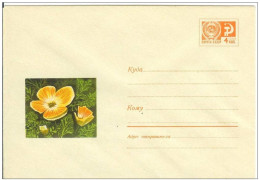 Russia USSR 1969 Fleurs Flowers Flower Blumen Flora Plants Envelope - 1960-69