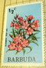 Barbuda 1974 Flower Oleander Rose Bay 0.5c - Mint - Barbuda (...-1981)