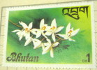 Bhutan 1976 Flowers 1ch - Mint - Bhutan