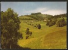 HALDENHOF Gasthof Pension Neuenweg Südl. Schwarzwald Belchen 1973 - Loerrach