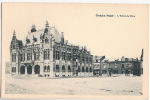 CPA Orchies  L´hôtel De Ville 59 Nord - Orchies