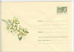 Russia USSR 1968 Fleurs Flowers Flower Blume Blumen Flora Plants Jasmine Envelope - 1960-69