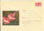 Russia USSR 1969 Fleurs Flowers Blumen Flora Plants Gladiolus Envelope - 1960-69