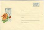 Russia USSR 1969 Fleurs Flowers Blumen Flora Plants Rose Roses Envelope - 1960-69