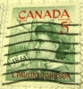 Canada 1961 Birth Centenary Of E Pauline Johnson 5c - Used - Oblitérés