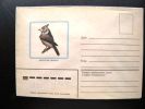 Cover From USSR, Animal Fauna Bird Oiseaux Vogel - Covers & Documents
