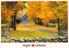 Cp , CANADA , Un Paysage D'automne Dans L'Est Du Canada - Postales Modernas