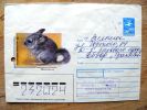 Cover Sent From Russia To Lithuania, USSR, Animal Fauna Wwf Panda Logo Red Book, - Storia Postale