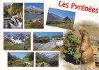 Cp , RÉGIONS , MIDI-PYRÉNÉES , En Parcourant Les Pyrénées , Multi-Vues - Midi-Pyrénées