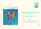 TIERE - Schmetterling - Papillon - Butterfly, Ganzsache Rumänien - Postal Stationery - Papillons