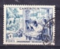 CAMEROUN  1956  YT  302  TB - Used Stamps
