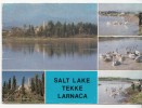 BR8848 Salt Lake Tekke Larnaca   2 Scans Bande Blanche Du Scanner - Cyprus