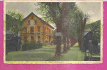 BAD PETERSTAL  -    * HOTEL BADISCHER HOF Mit  PROMENADE *   -    Editeur : Robert SCHMIDT    N° 409248 - Bad Peterstal-Griesbach