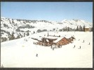 CHAUX Les Champs De Ski Avec Restaurant Gryon 1982 - Gryon