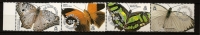 Turks Et Caiques Caicos 1991 N° 922 / 5 ** Papillon, Anartia Jatrophae, Historis Osius, Siproeta Stelenes, Ascia Monuste - Turks & Caicos