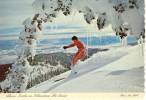 Schweitzer Ski Basin - Selkirk Mountains In Idaho's Panhandle, Near Of Sandpoint - Autres & Non Classés