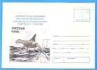 Polar Philately, Whale, Orcinus Orca  ROMANIA Postal Enveloppe / Postcard 1996 - Wale