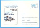 Polar Philately, Whale, Cystophora Cristata  ROMANIA Postal Enveloppe / Postcard 1996 - Wale