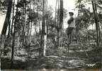 AU PAYS LANDAIS JEUNE ECHASSIER DANS LA FORET - Sonstige & Ohne Zuordnung