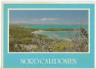 BR9039 Nord Caledonien  2 Scans Bande Blanche Du Scanner - New Caledonia