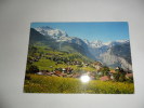 Wengen - Wengen