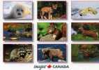 CPM - CANADA - MULTIVUES SUR LES ANIMAUX - Altri & Non Classificati