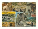 Cp, 48, Les Cévennes Touristiques, Multi-Vues, Voyagée 1984 - Autres & Non Classés