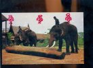 CPM Animée Neuve Animaux ELEPHANT ELEPHANTS Au Travail - Elefantes