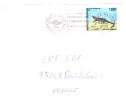 NOUVELLES CALEDONIES Lettre De NOUMEA MAGENT 1996 (crocodile) - Covers & Documents