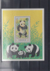 MONGOLIA PANDA MS - Ours