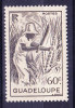 Guadeloupe N°200 Neuf Sans Charniere - Unused Stamps