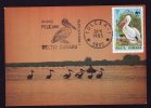 BIRDS;PELICANS OF DANUBE DELTA,1987,CM,MAXICARD,CARTES MAXIMUM ROMANIA. - Pelikanen