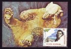 OURS,BEARS 1990 CM,MAXICARD,CARTES MAXIMUM,ROMANIA. - Bears