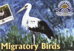 The White Stork, Rosy Pastor, Garganey Teal, Wagtail, Presentaion Pack Migaratory Birds, Bird MS + 4 Stamps  India 2000 - Cigognes & échassiers
