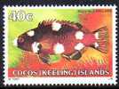 Cocos Islands 1979 Fishes 40c Coral Hogfish MNH  SG 43 - Isole Cocos (Keeling)