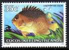 Cocos Islands 1979 Fishes 35c Cocos-keeling Angelfish MNH  SG 42 - Islas Cocos (Keeling)