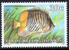 Cocos Islands 1979 Fishes 30c Madagascar Butterflyfish MNH  SG 41 - Kokosinseln (Keeling Islands)